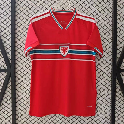 Maillot 25/26 wales Domicile